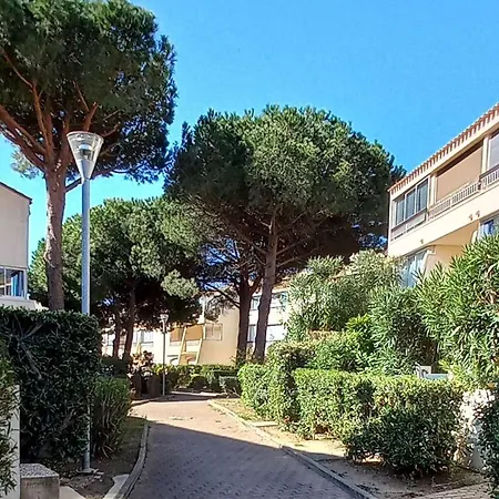 T2 Au Coeur De Avec Terrasse, Parking Prive, Proche Commodites Et Animaux Acceptes - Fr-1-387-202 *