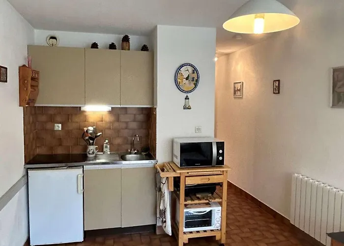 Apartmán T2 Au Coeur De Avec Terrasse, Parking Prive, Proche Commodites Et Animaux Acceptes - Fr-1-387-202 *
